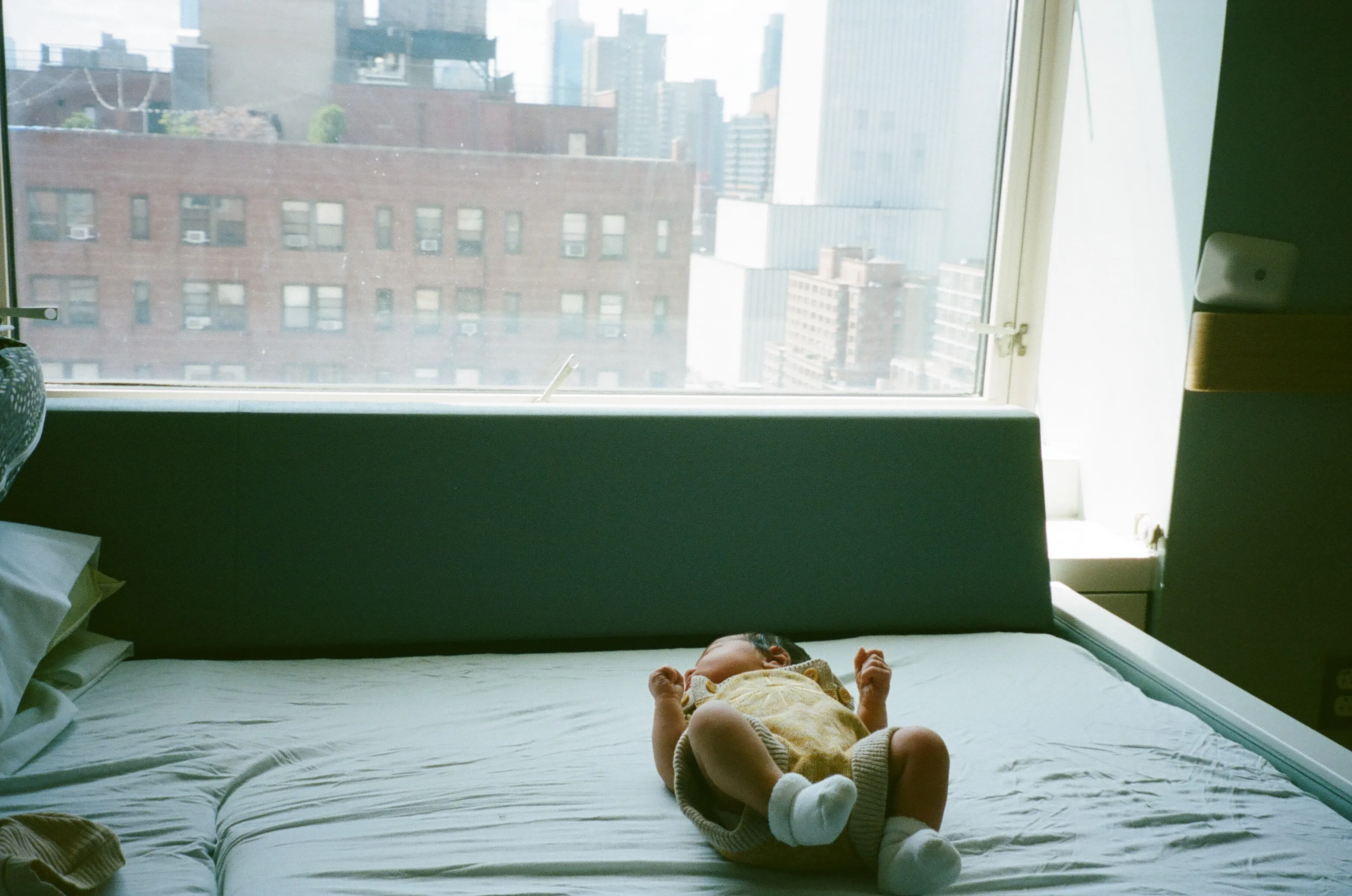 Image by Sonnet Lamb